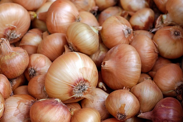 Onions 1397037 640